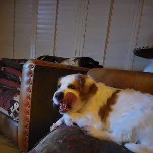 Meet your Posher, Randy